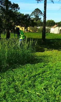 landscaping